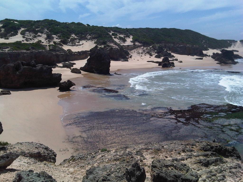 Jikeleza Lodge Port Elizabeth Bagian luar foto