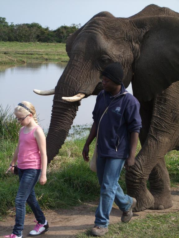 Jikeleza Lodge Port Elizabeth Bagian luar foto