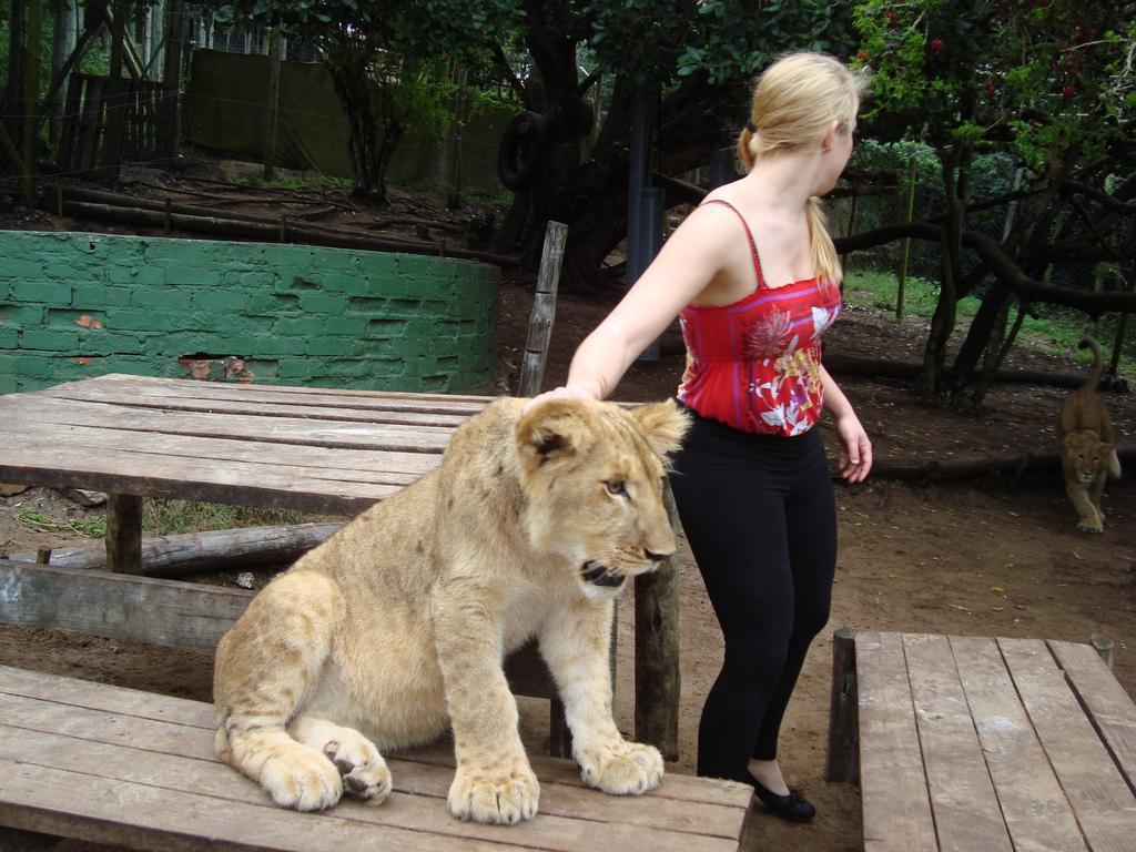 Jikeleza Lodge Port Elizabeth Bagian luar foto